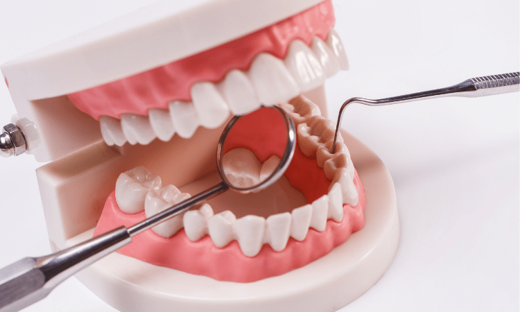 dentistry